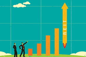 The LifeStages™ Classification System—Using Meaningful Metrics to Compare Nontraded REITs