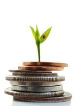 Green plant shoot with ladybug growing from coins