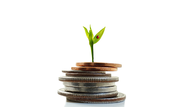 Green plant shoot with ladybug growing from coins