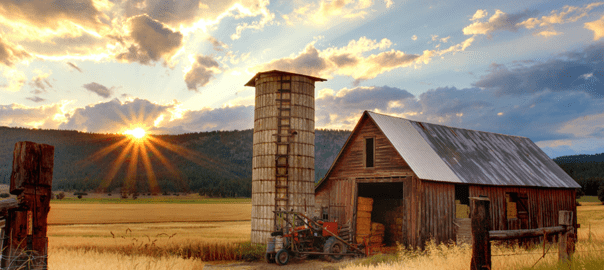 Biden Plan Would Limit Longstanding Tax Break Used by Farmers